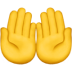 logo_opcion_encuesta