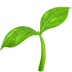 logo_opcion_encuesta
